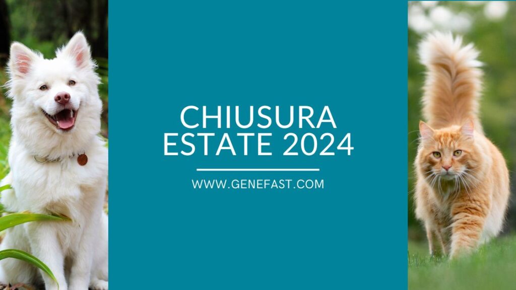 chiusura estate 2024