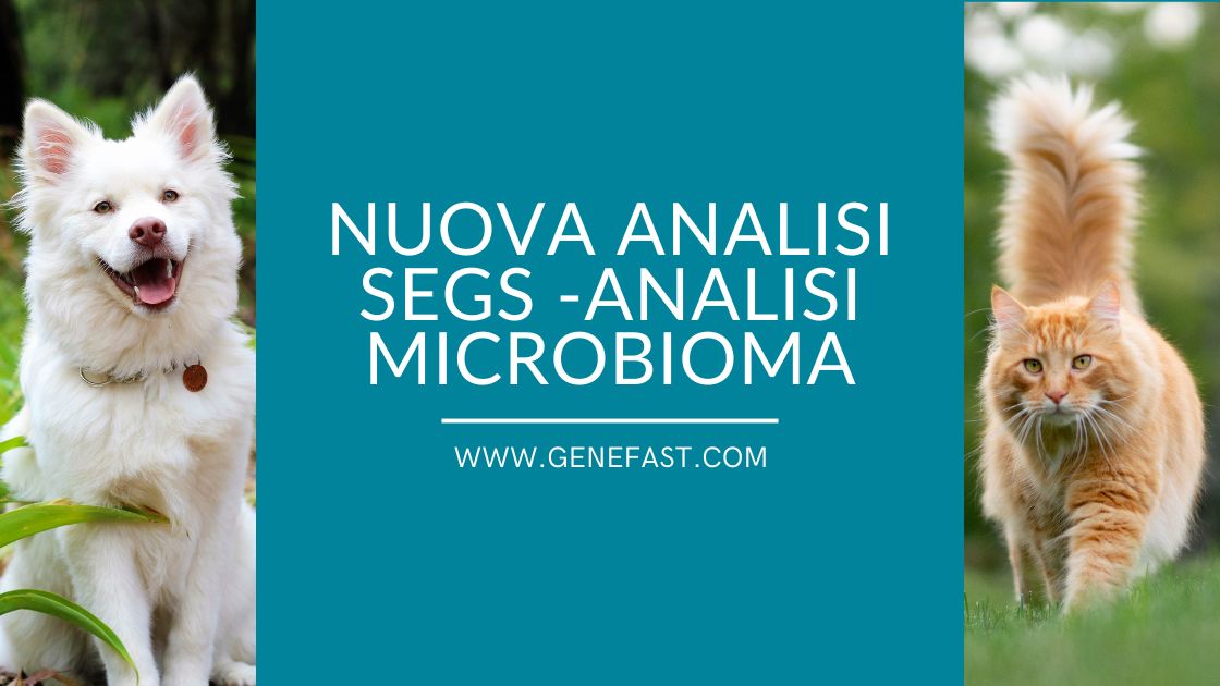 Nuova analisi SegS -Analisi Microbioma